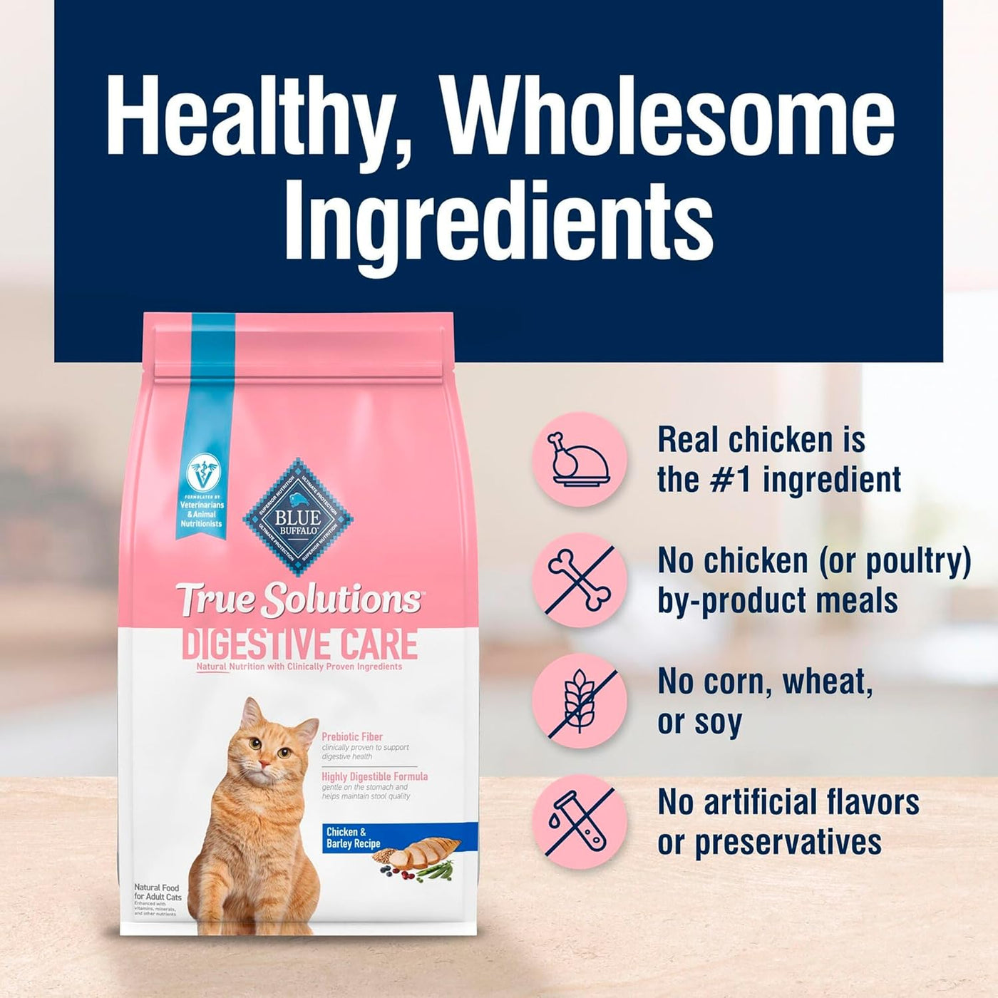 True Solutions Digestive Care Natural Dry Cat Food for Adults - Chicken Flavor, 11-Lb Bag