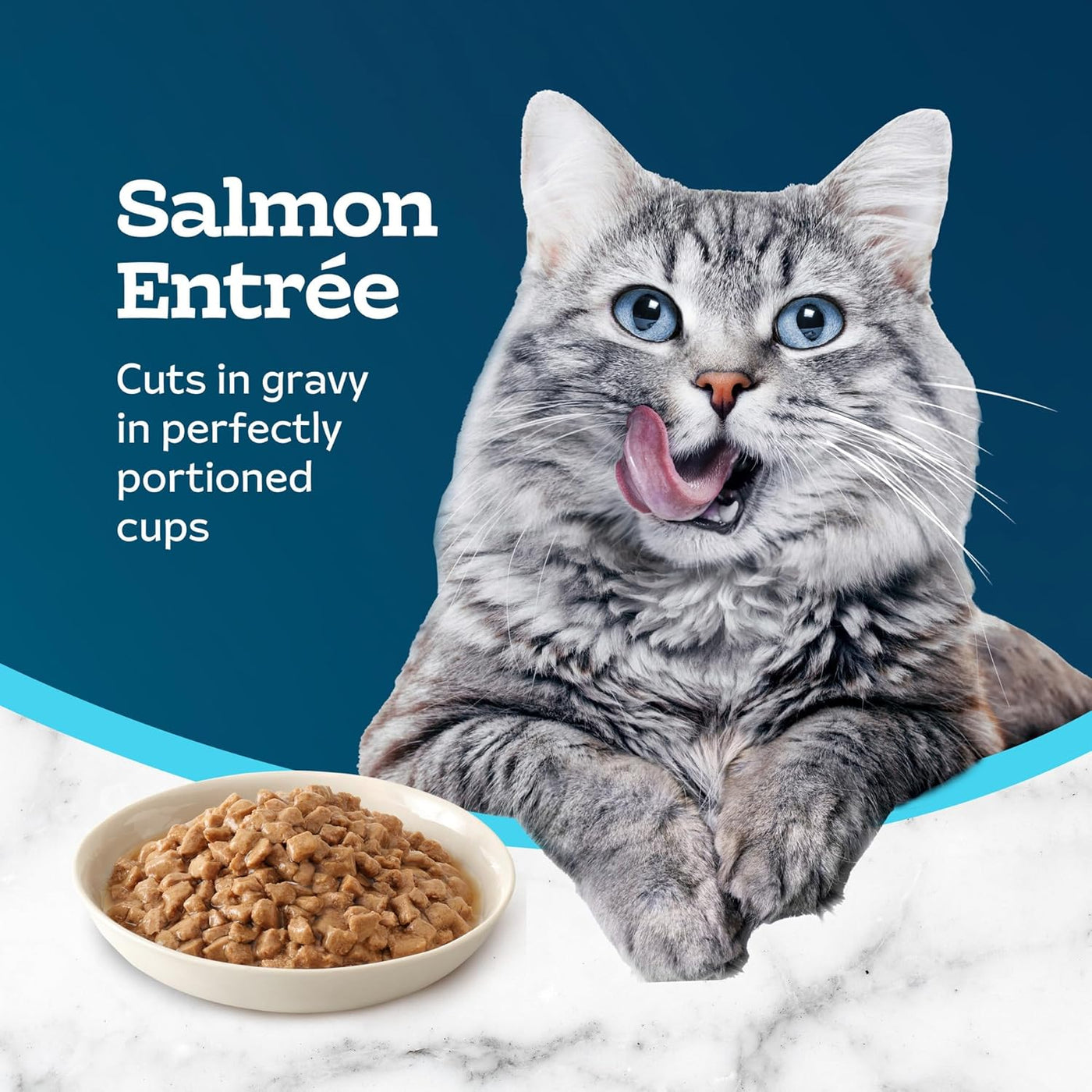 Tastefuls Salmon Entrée in Gravy - 2.6-Oz Twin-Pack Trays (24 Count) - Delicious Natural Wet Cat Food