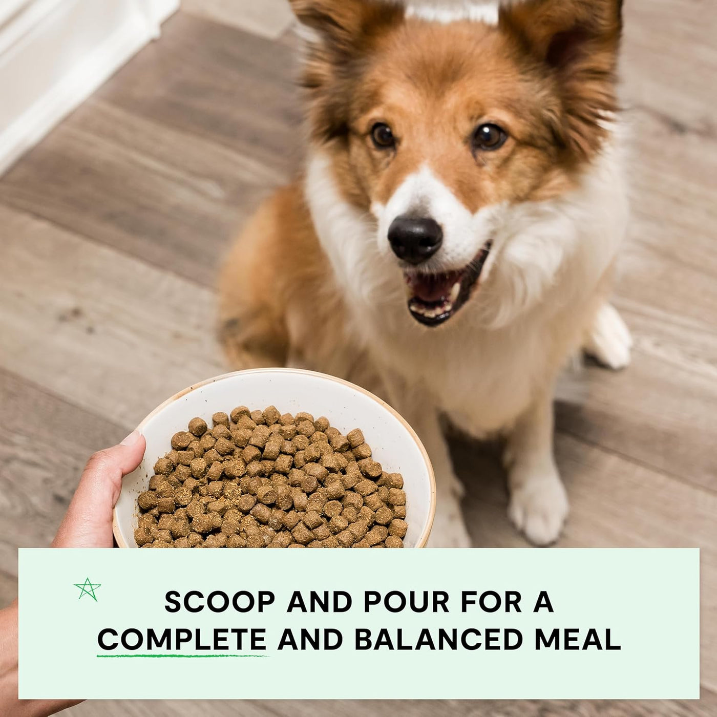 , Grain-Free Dry Dog Food, Complete & Balanced Kibble, Sustainably & Ethically Sourced Ingredients, Non-Gmo Veggies & Superfoods to Support Overall Health, Turkey and Chicken Recipe, 22Lb Bag