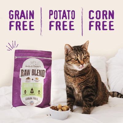 Raw Blend Premium Kibble Cat Food – Grain Free, Protein Rich Meals – Cage-Free Poultry Recipe – 10 Lb. Bag