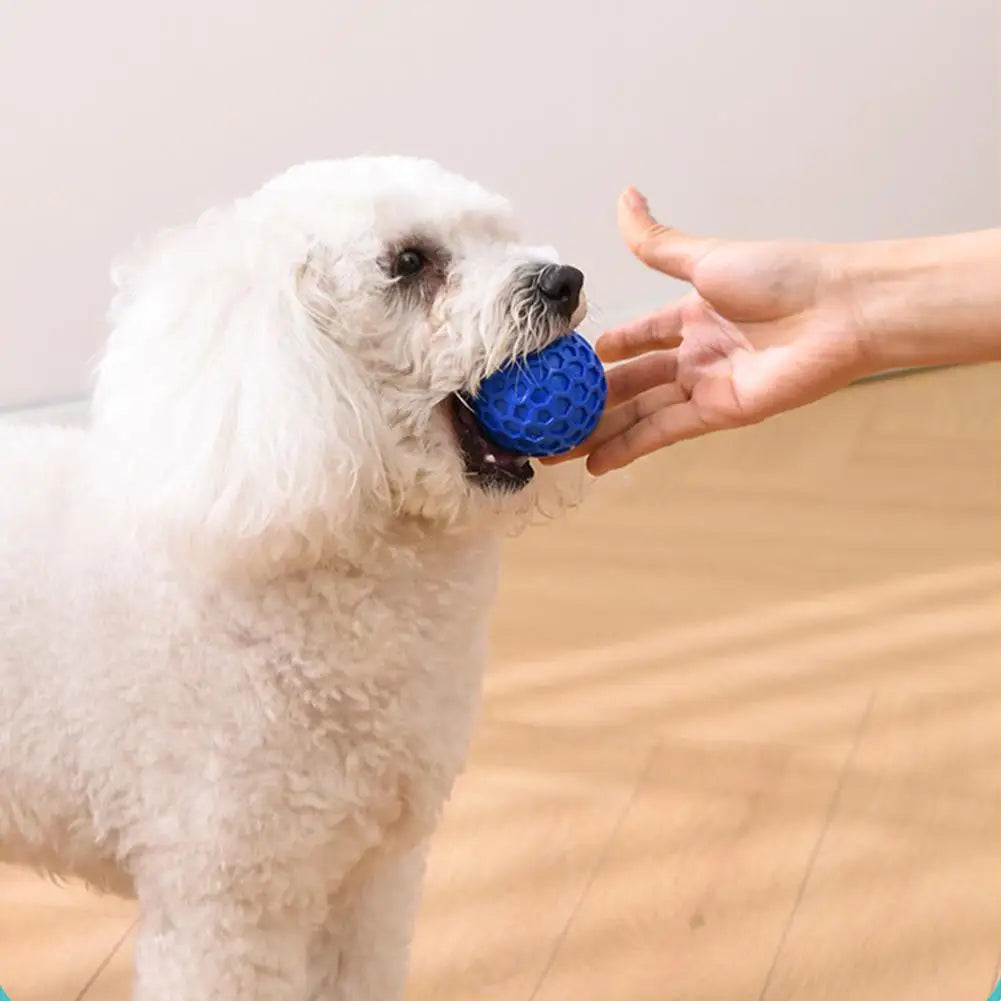 Dog Toys Bite Resistant Interactive Throwing Sound Honeycomb Balls Natural Rubber Teething Clean Teeth Toys Pet Products