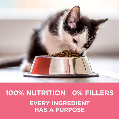 High Protein, Natural Dry Kitten Food, +Plus Healthy Kitten Formula - 7 Lb. Bag