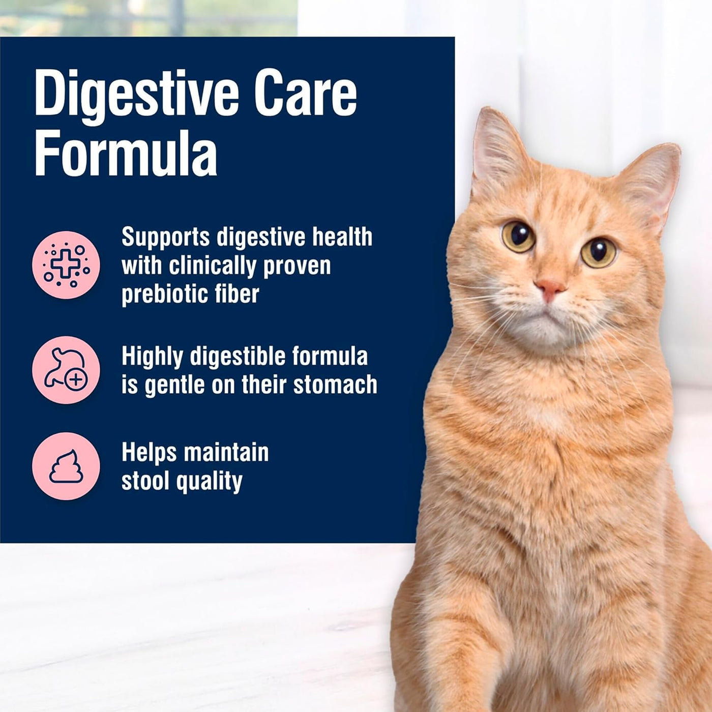 True Solutions Digestive Care Natural Dry Cat Food for Adults - Chicken Flavor, 11-Lb Bag